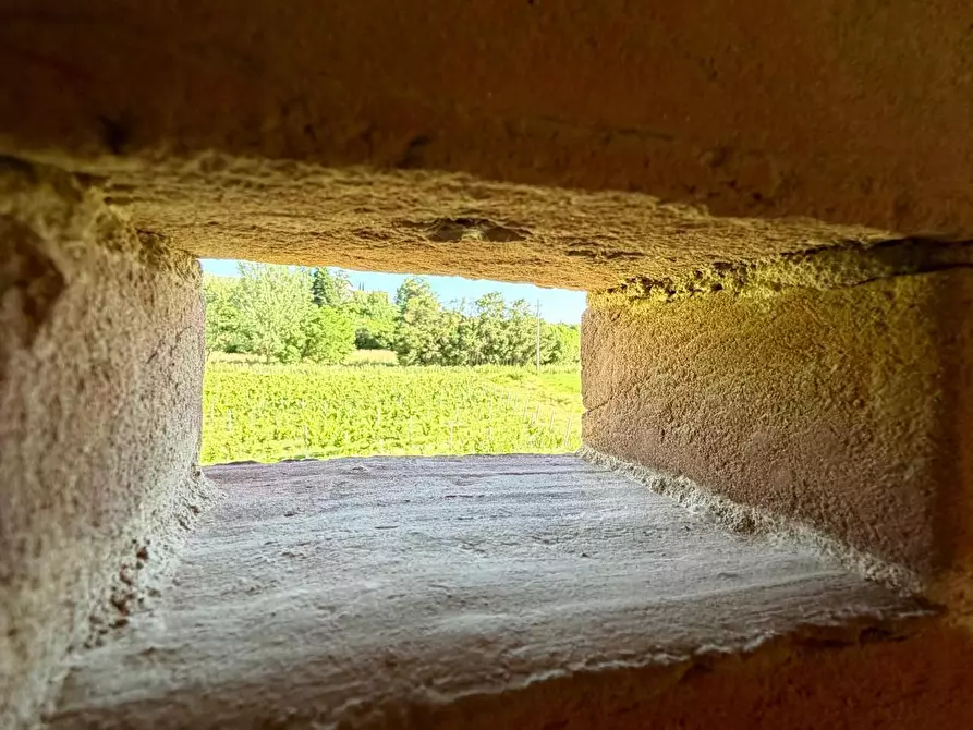 Immagine 18 di Casa colonica in vendita  a Vinci