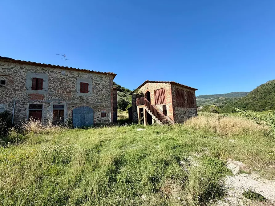 Immagine 3 di Casa colonica in vendita  a Vinci