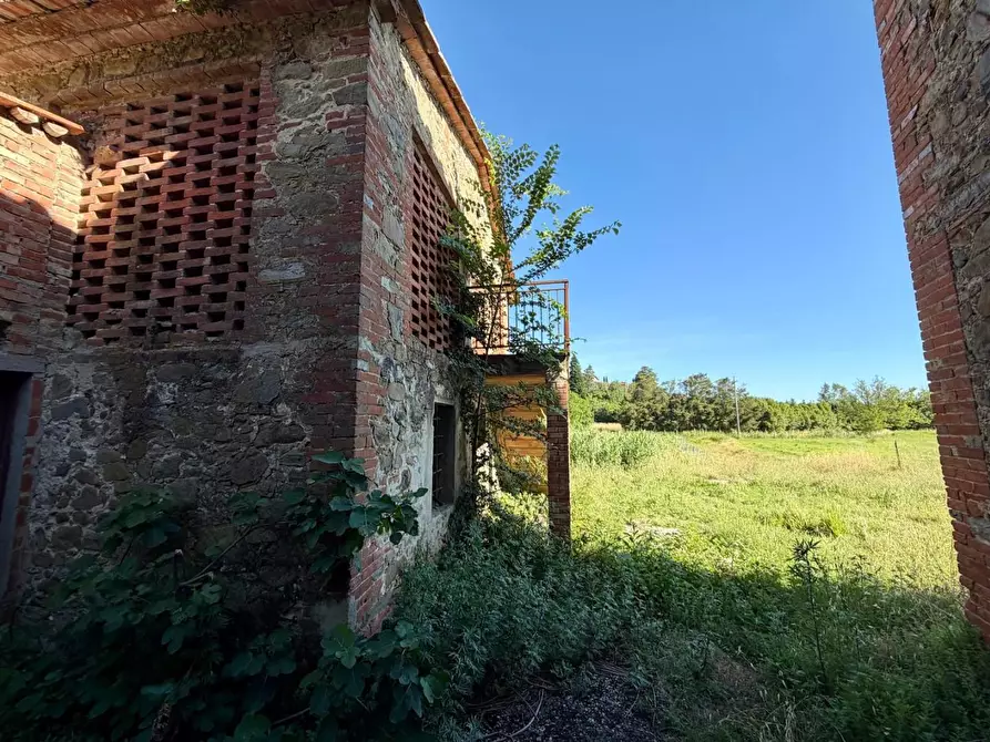 Immagine 7 di Casa colonica in vendita  a Vinci