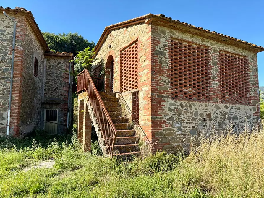 Immagine 5 di Casa colonica in vendita  a Vinci