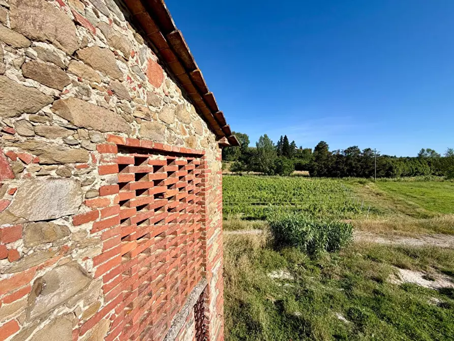 Immagine 20 di Casa colonica in vendita  a Vinci