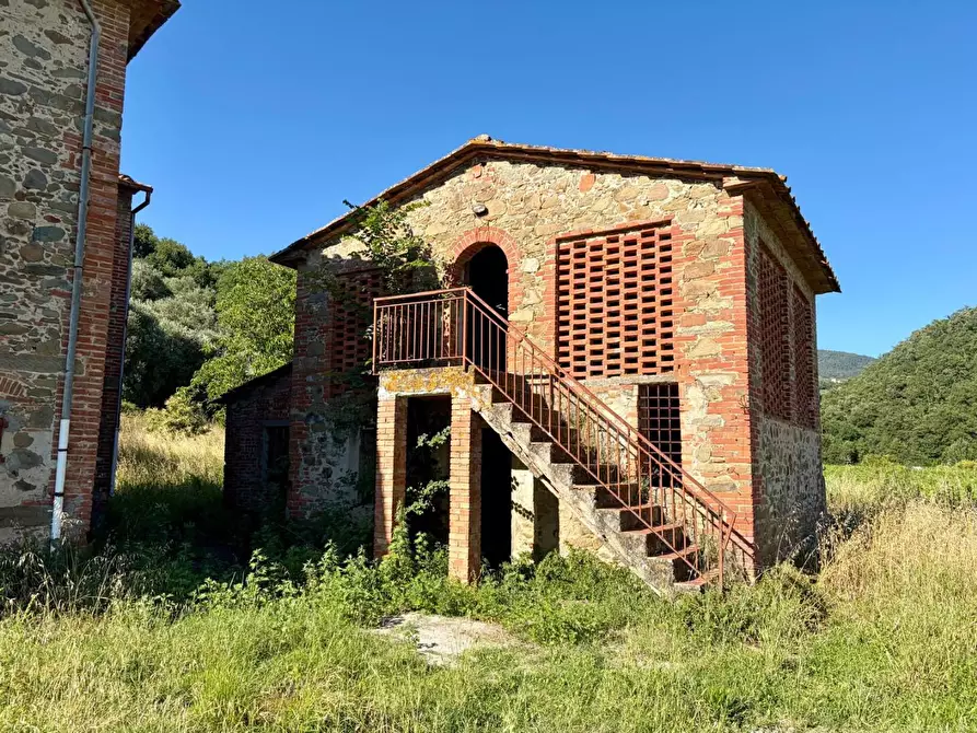 Immagine 4 di Casa colonica in vendita  a Vinci