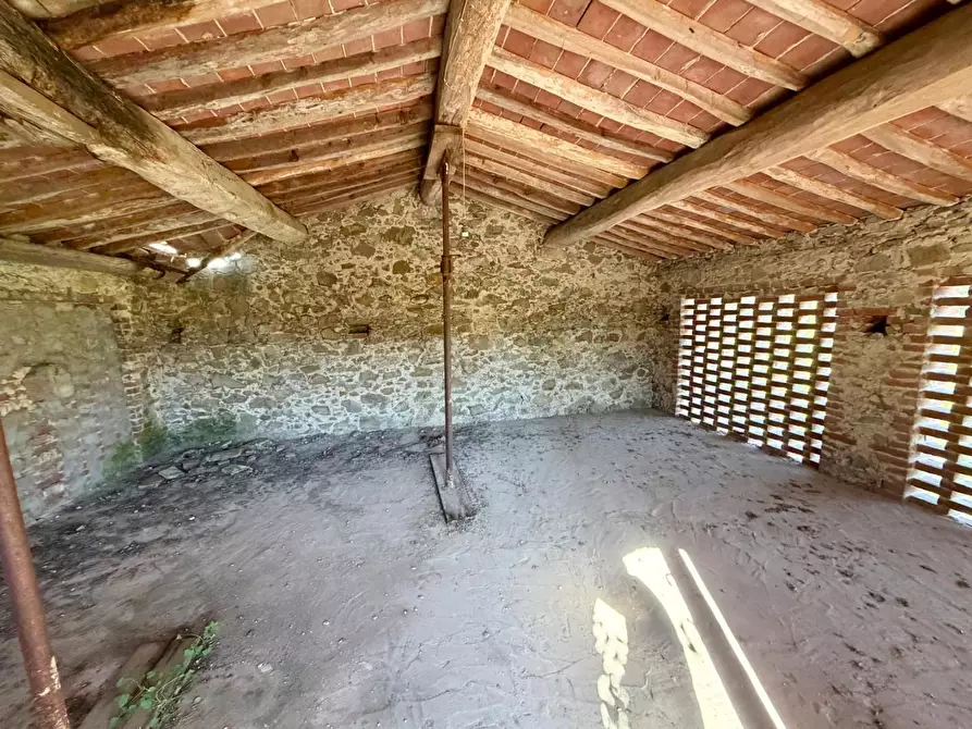 Immagine 13 di Casa colonica in vendita  a Vinci