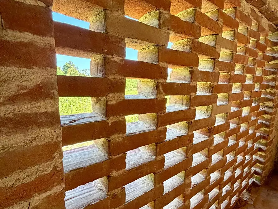 Immagine 17 di Casa colonica in vendita  a Vinci