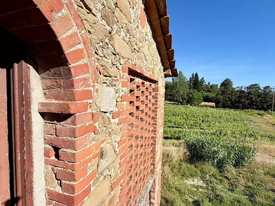 Immagine 21 di Casa colonica in vendita  a Vinci