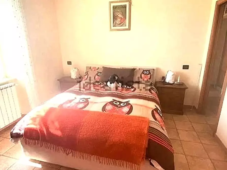 Immagine 7 di Terratetto in vendita  a Massa