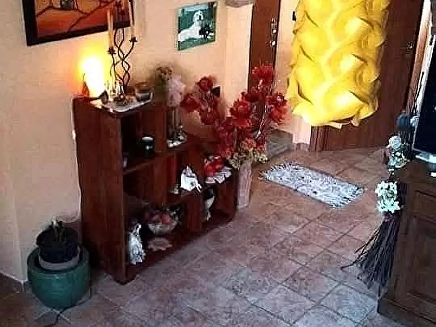 Immagine 2 di Terratetto in vendita  a Massa