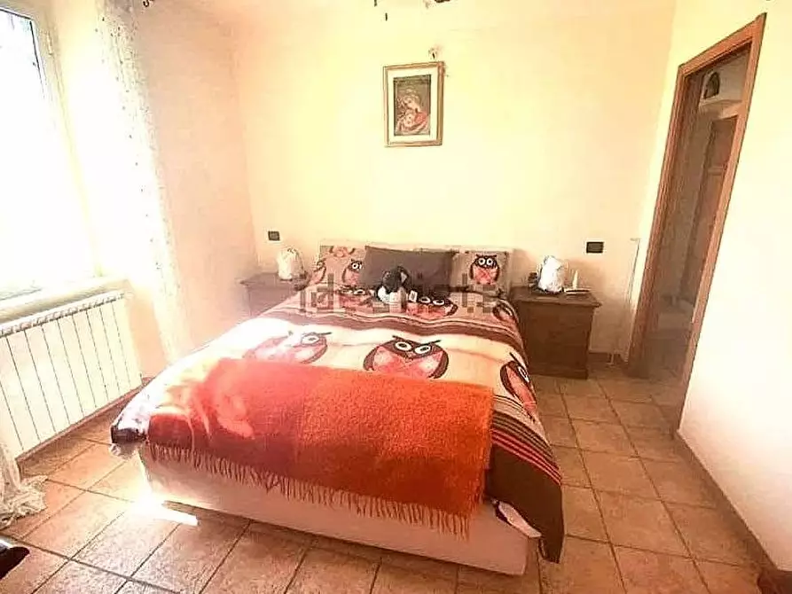 Immagine 17 di Terratetto in vendita  a Massa