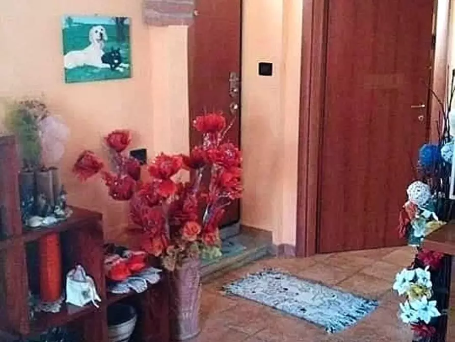Immagine 1 di Terratetto in vendita  a Massa