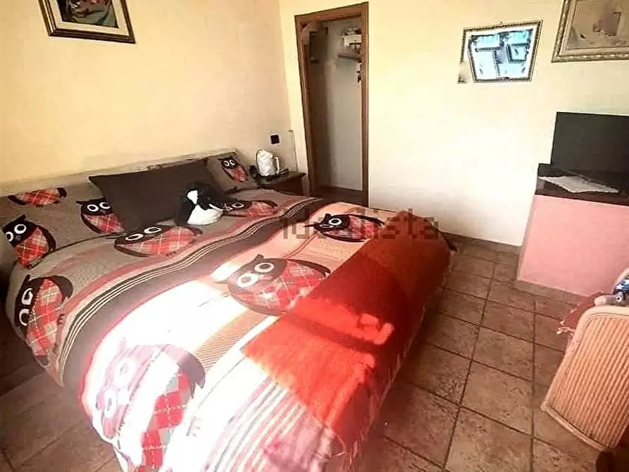 Immagine 18 di Terratetto in vendita  a Massa