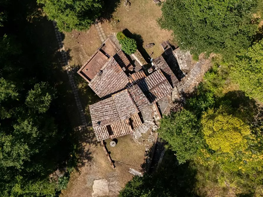 Immagine 44 di Villa in vendita  a San Gimignano