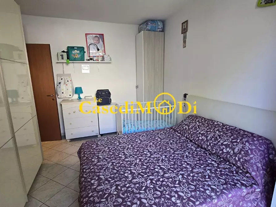 Immagine 11 di Appartamento in vendita  a Rosignano Marittimo