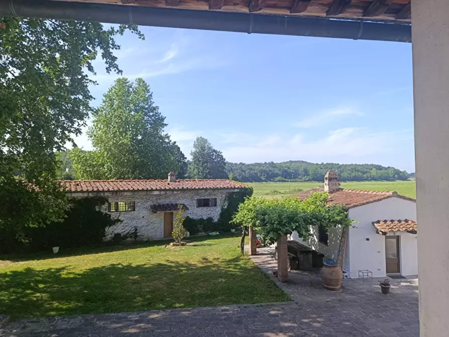 Immagine 1 di Appartamento in affitto  a Calcinaia