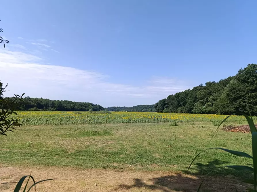 Immagine 6 di Appartamento in affitto  a Calcinaia