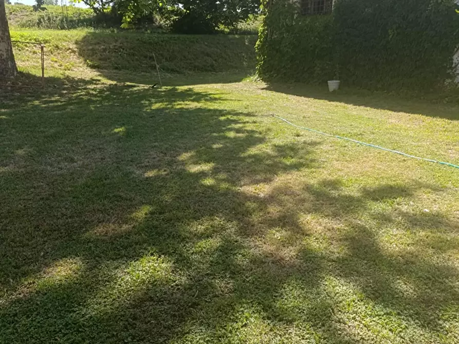 Immagine 8 di Appartamento in affitto  a Calcinaia