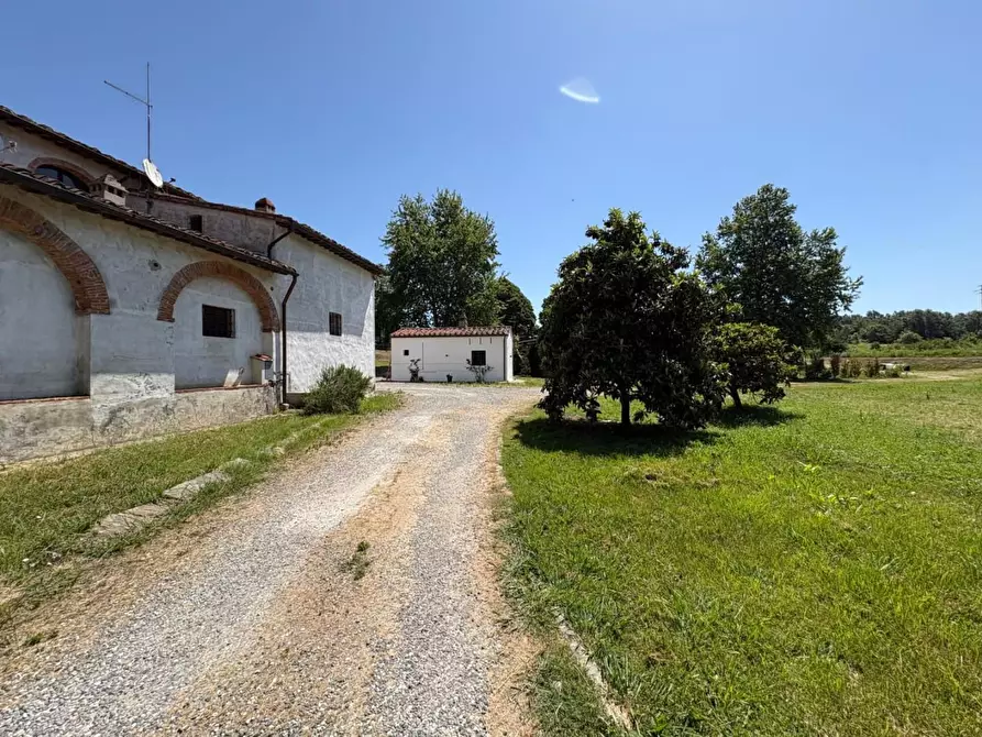 Immagine 7 di Appartamento in affitto  a Calcinaia
