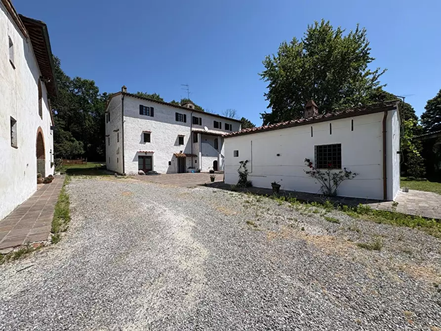 Immagine 5 di Appartamento in affitto  a Calcinaia