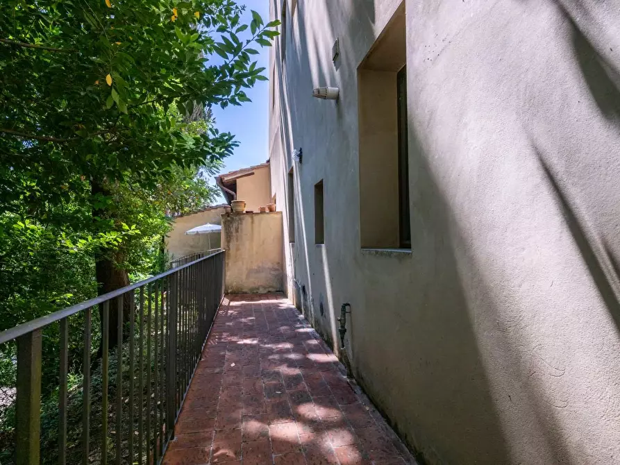 Immagine 19 di Appartamento in vendita  a Palaia