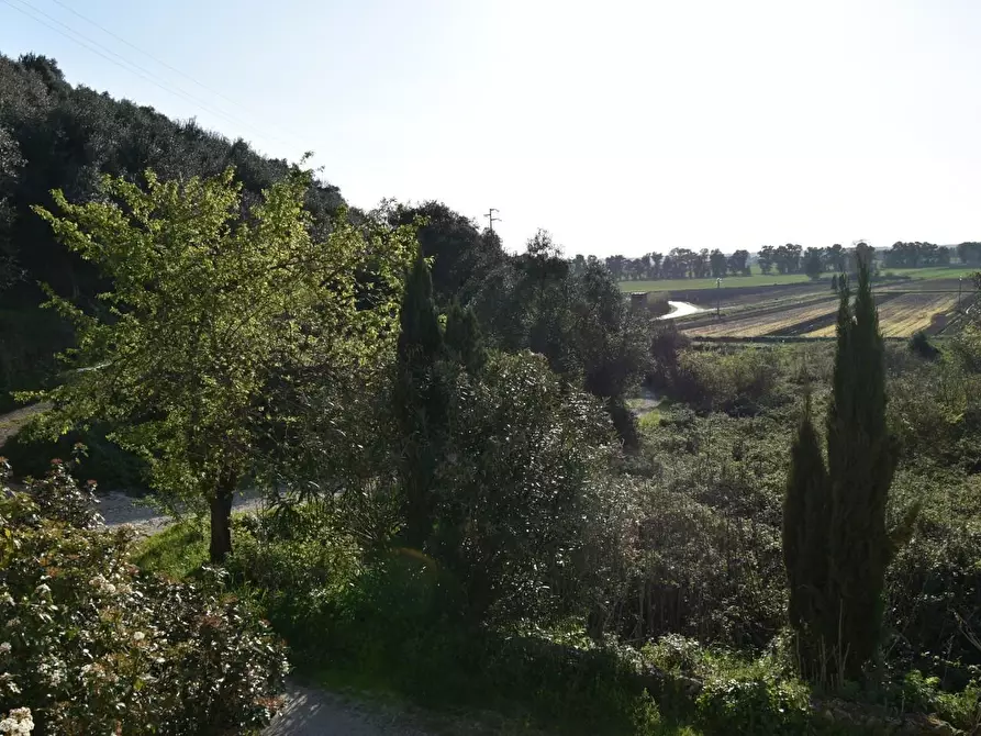 Immagine 33 di Terratetto in vendita  a Massarosa