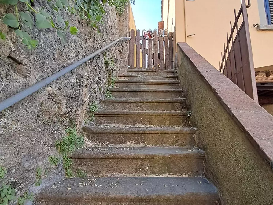 Immagine 5 di Appartamento in vendita  a Buti