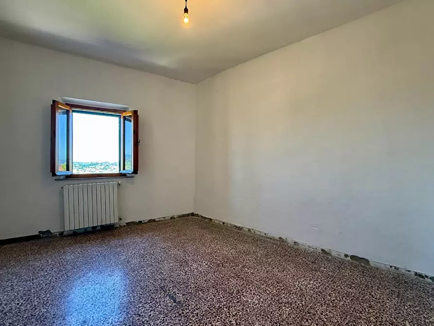 Immagine 11 di Appartamento in vendita  a Peccioli