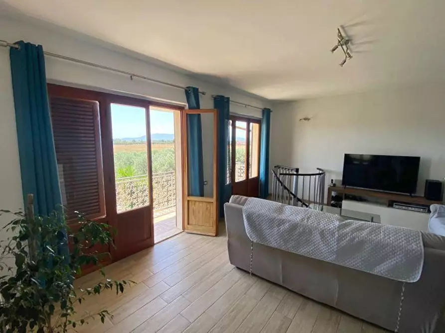 Immagine 11 di Villa in vendita  a Magliano In Toscana