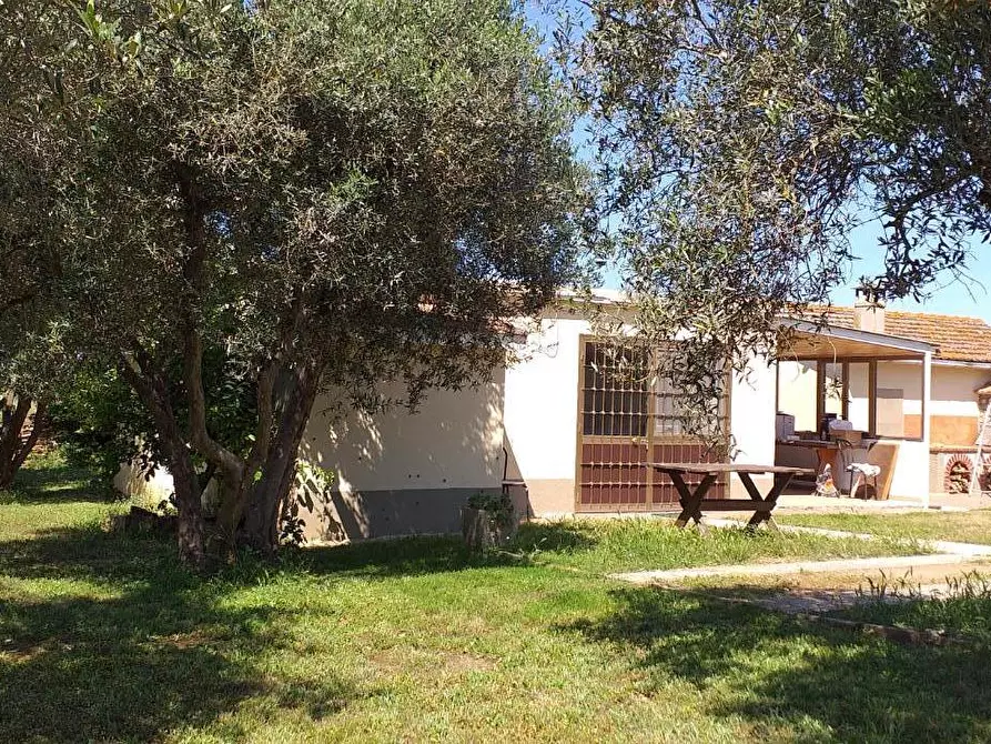 Immagine 5 di Villa in vendita  a Magliano In Toscana