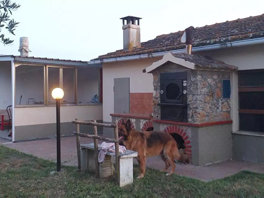 Immagine 4 di Villa in vendita  a Magliano In Toscana