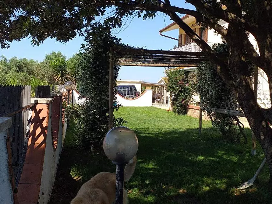 Immagine 1 di Villa in vendita  a Magliano In Toscana