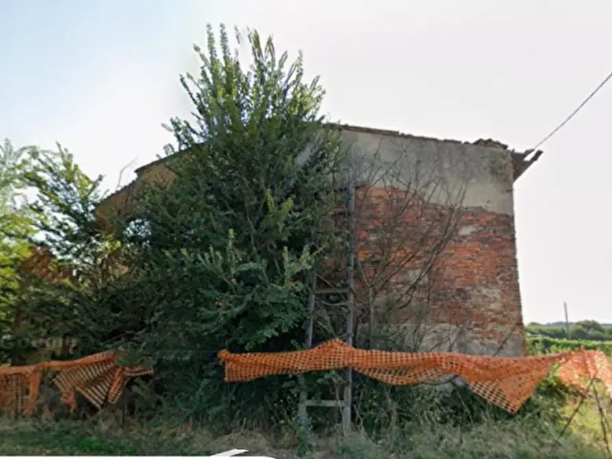 Immagine 2 di Casa colonica in vendita  a Bientina