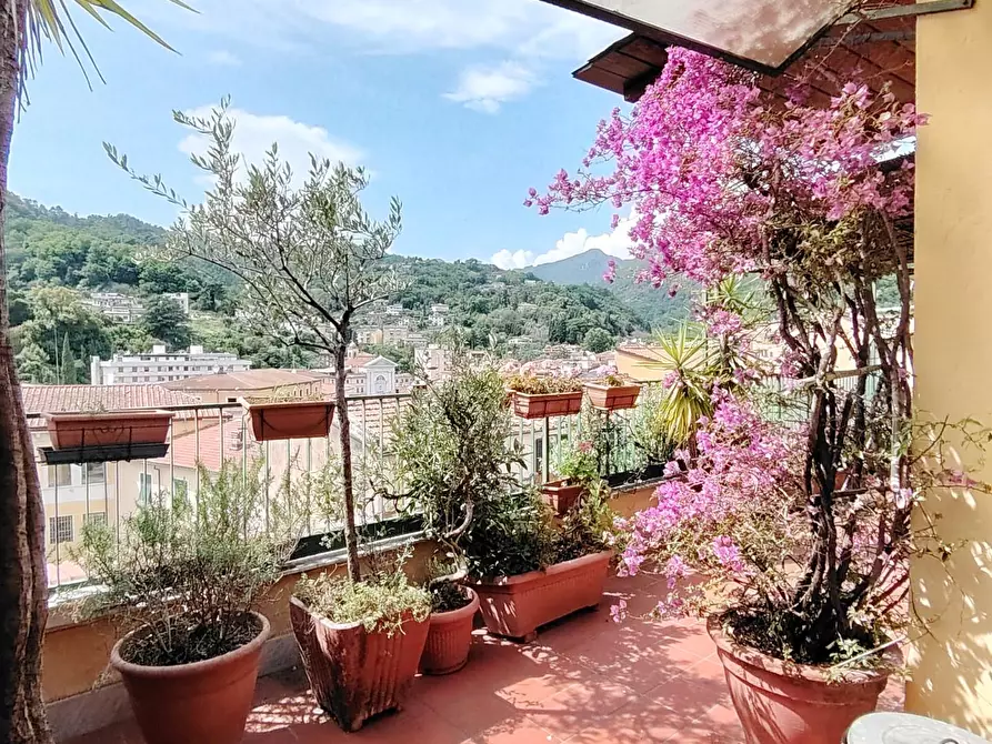 Immagine 31 di Appartamento in vendita  a Carrara
