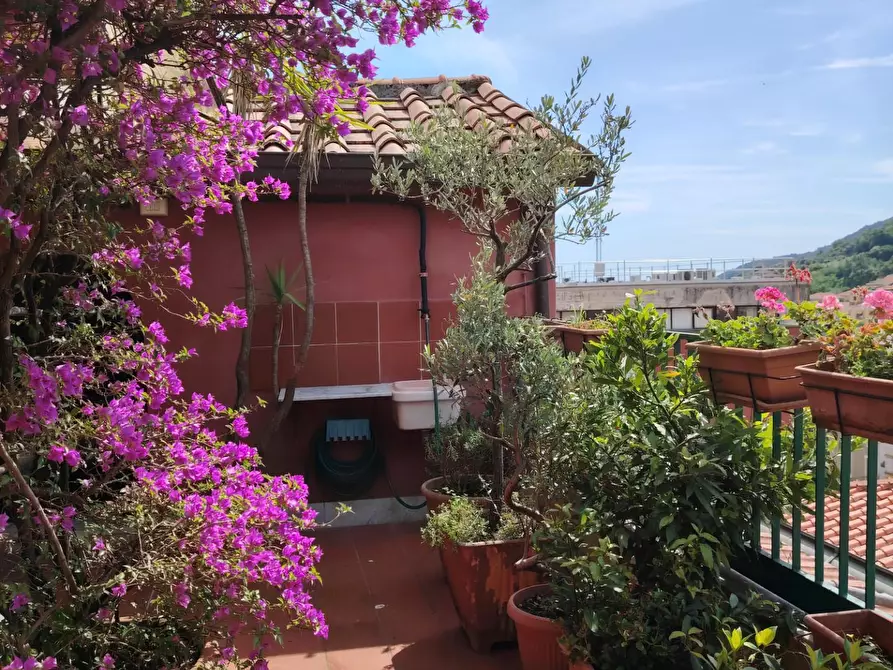 Immagine 33 di Appartamento in vendita  a Carrara