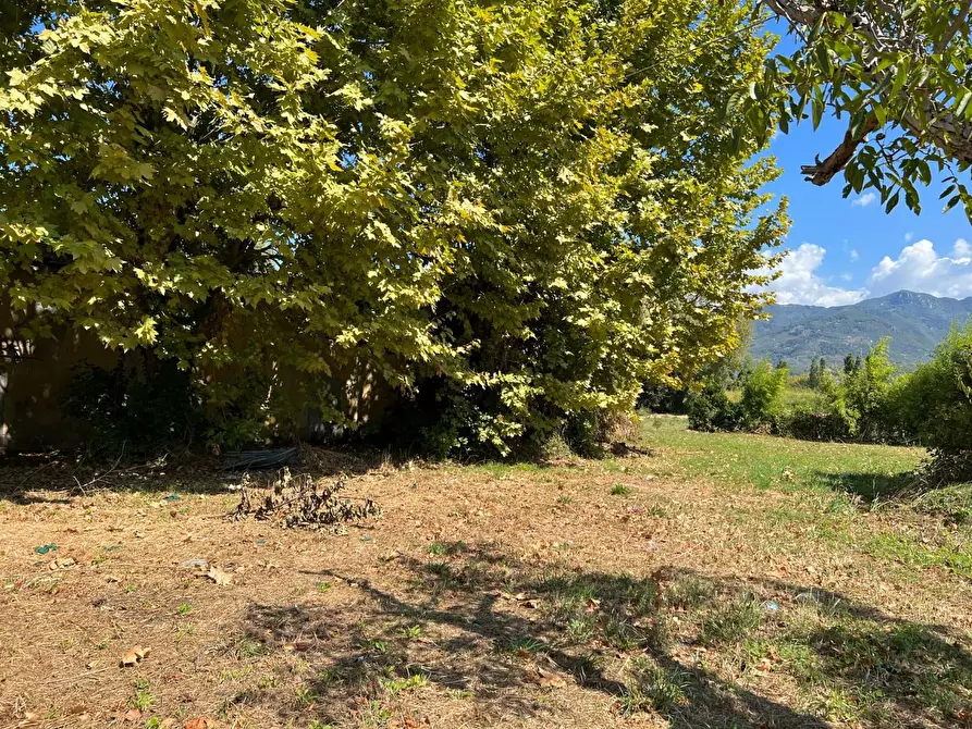Immagine 21 di Casa colonica in vendita  a Pietrasanta