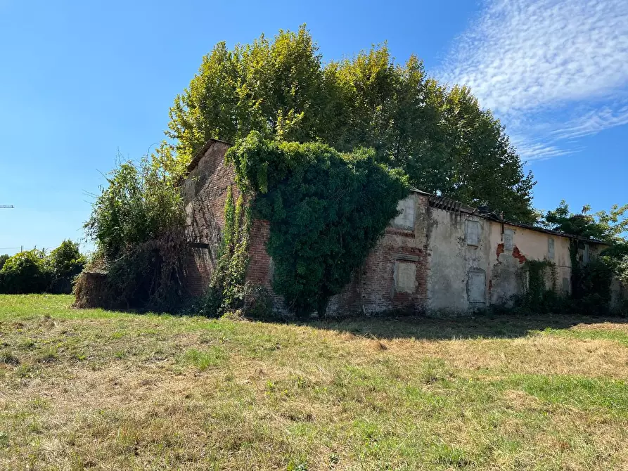 Immagine 12 di Casa colonica in vendita  a Pietrasanta