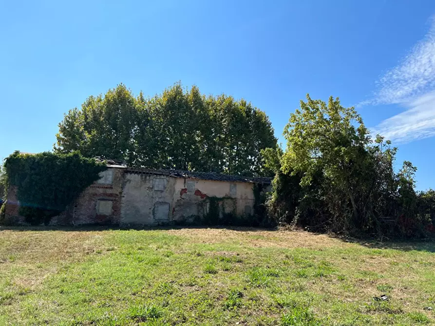 Immagine 2 di Casa colonica in vendita  a Pietrasanta