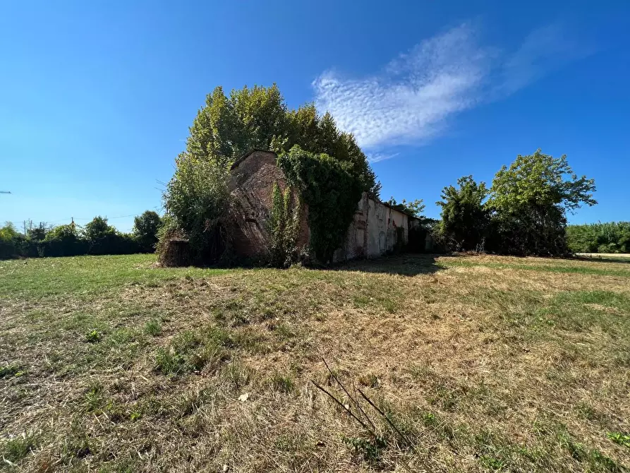 Immagine 16 di Casa colonica in vendita  a Pietrasanta