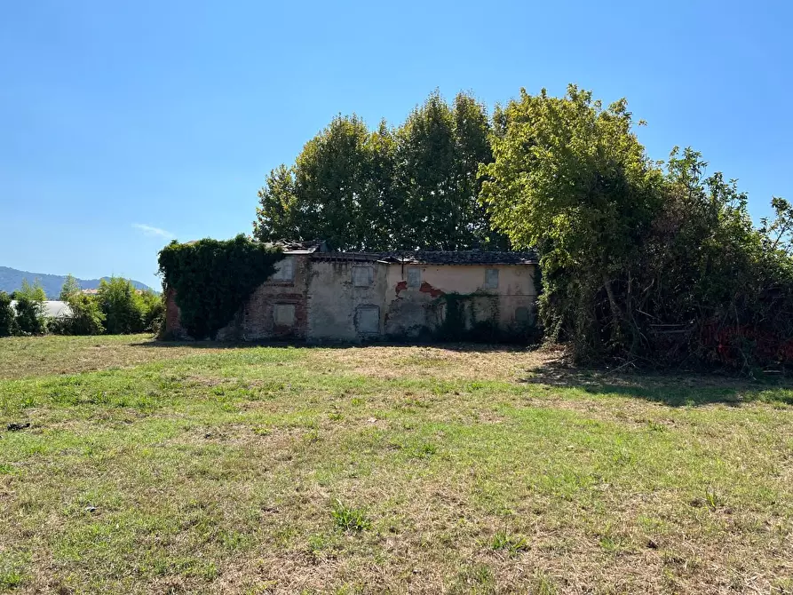 Immagine 7 di Casa colonica in vendita  a Pietrasanta