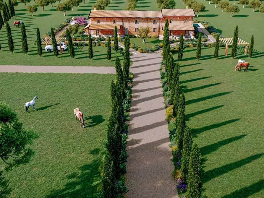 Immagine 25 di Casa colonica in vendita  a Pietrasanta