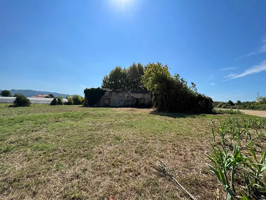 Immagine 8 di Casa colonica in vendita  a Pietrasanta