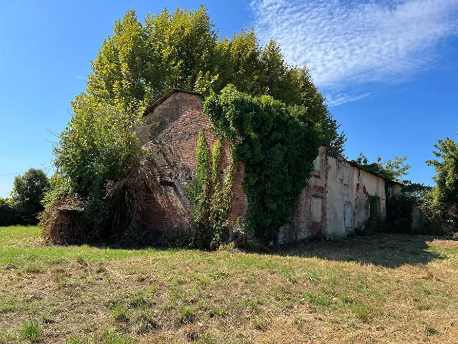 Immagine 17 di Casa colonica in vendita  a Pietrasanta