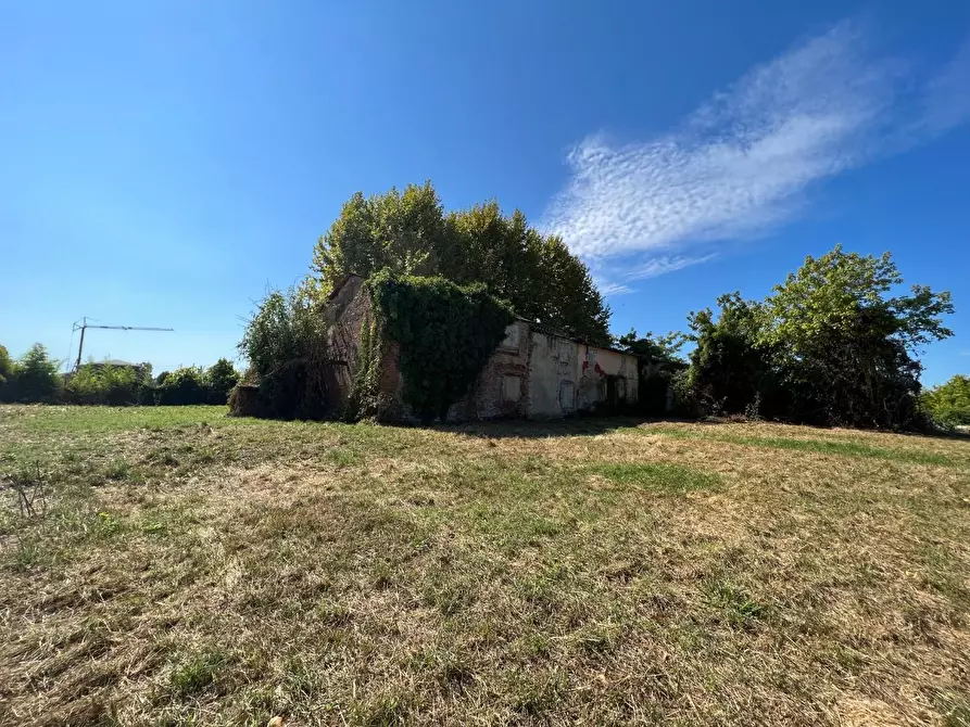 Immagine 13 di Casa colonica in vendita  a Pietrasanta