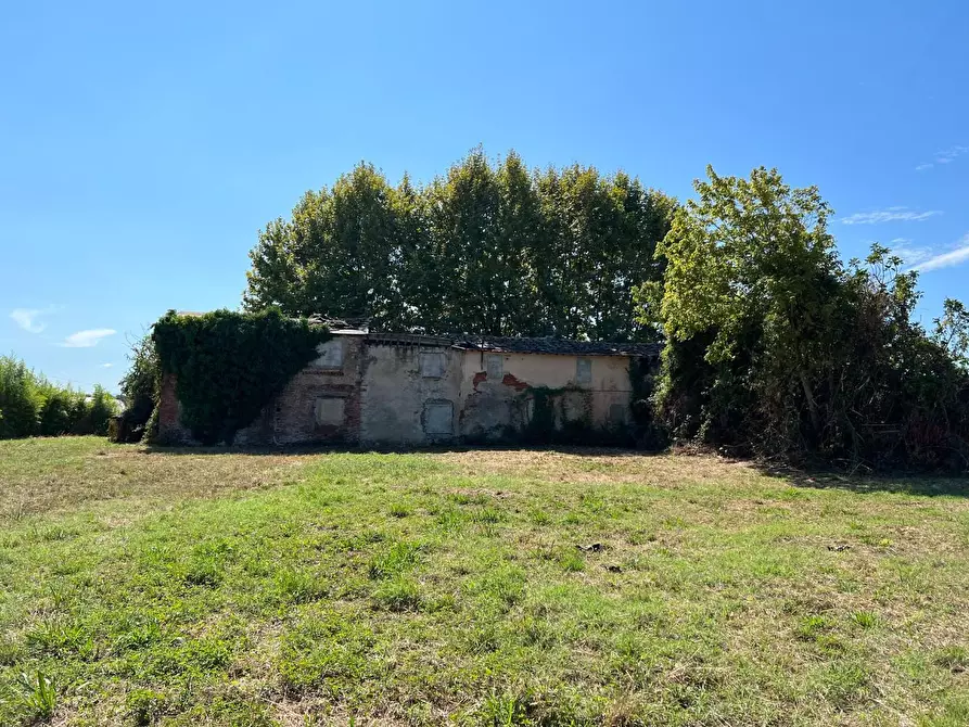 Immagine 6 di Casa colonica in vendita  a Pietrasanta