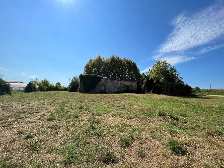 Immagine 10 di Casa colonica in vendita  a Pietrasanta