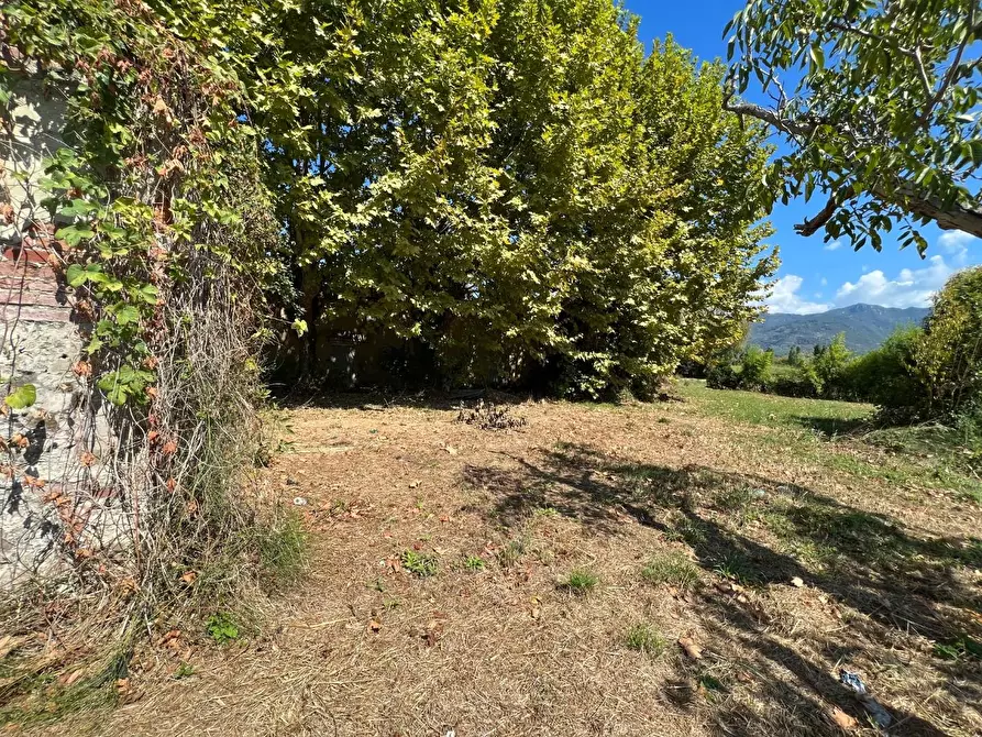 Immagine 20 di Casa colonica in vendita  a Pietrasanta