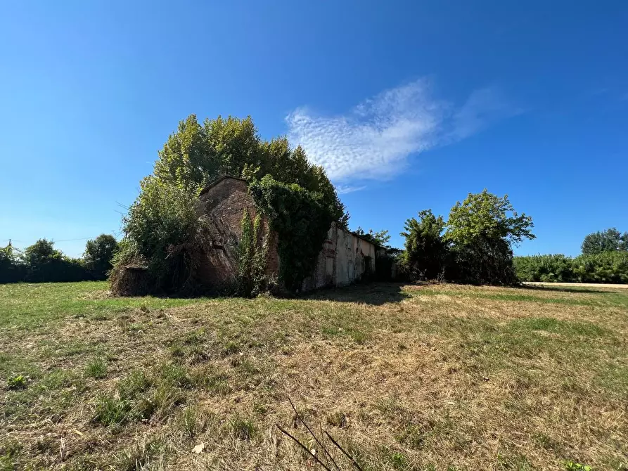 Immagine 15 di Casa colonica in vendita  a Pietrasanta
