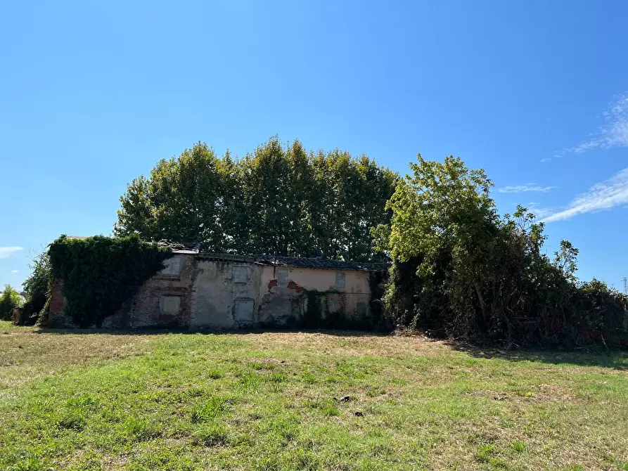 Immagine 5 di Casa colonica in vendita  a Pietrasanta