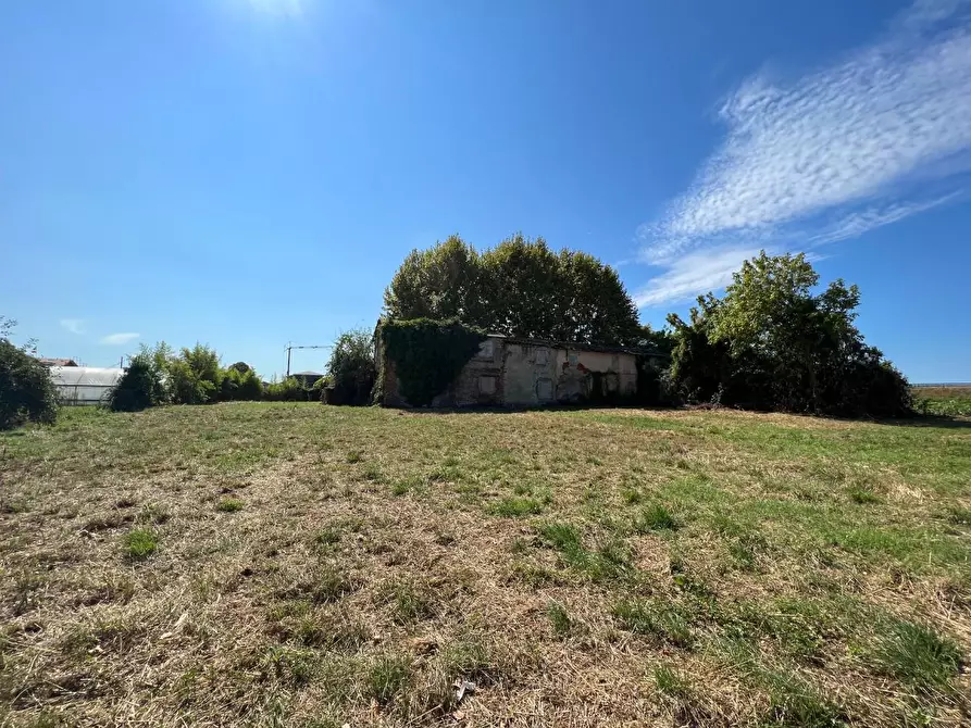 Immagine 11 di Casa colonica in vendita  a Pietrasanta