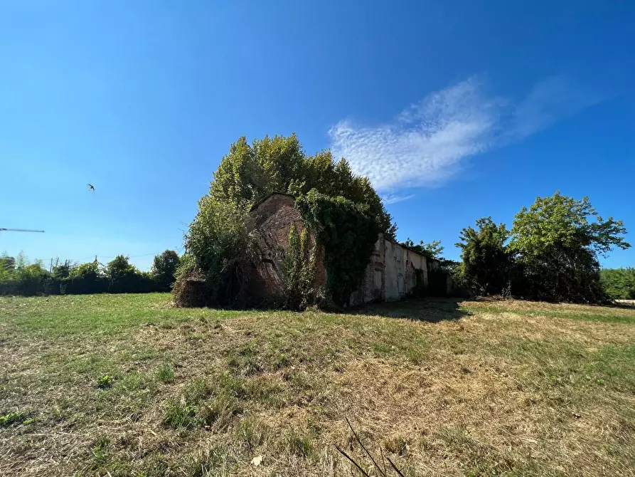 Immagine 14 di Casa colonica in vendita  a Pietrasanta