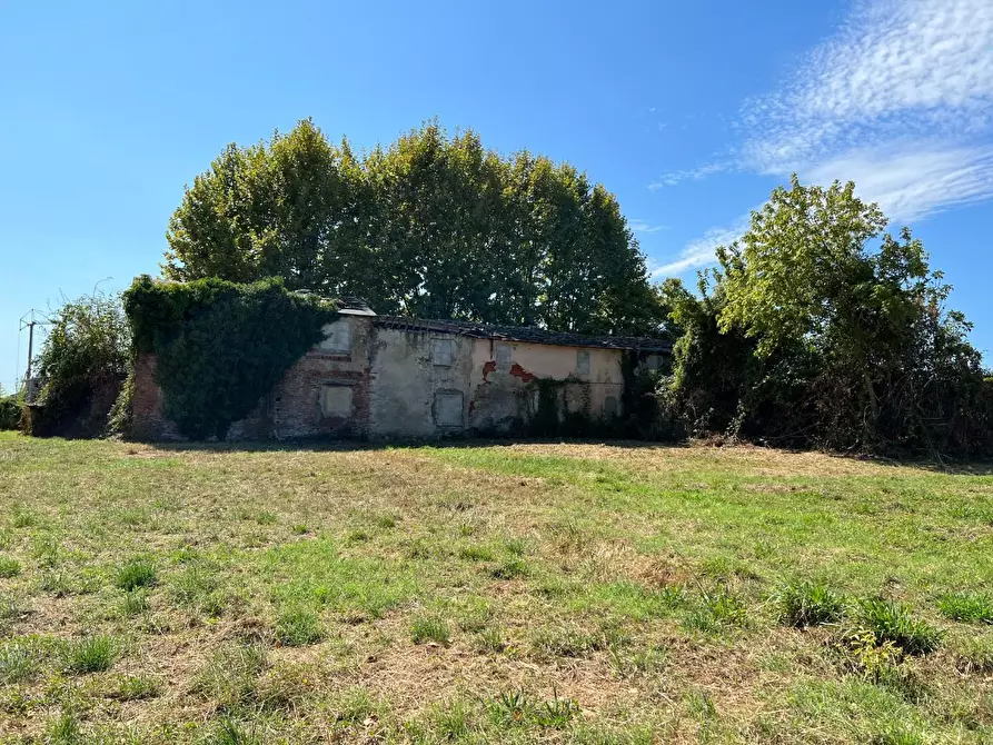 Immagine 9 di Casa colonica in vendita  a Pietrasanta