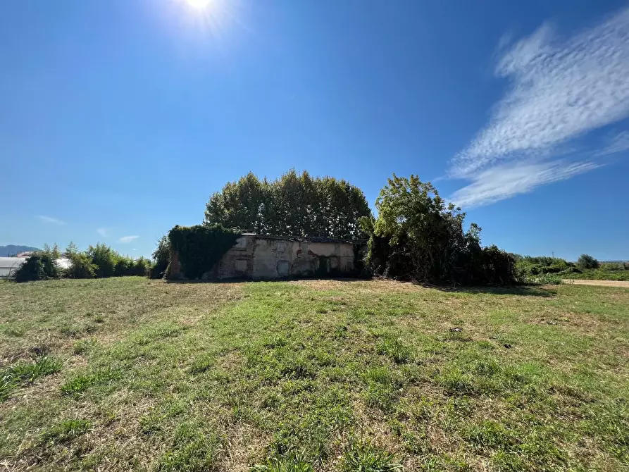 Immagine 3 di Casa colonica in vendita  a Pietrasanta